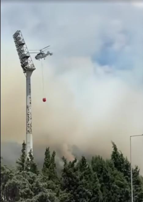 Screenshot 2025-06-29 160556.png