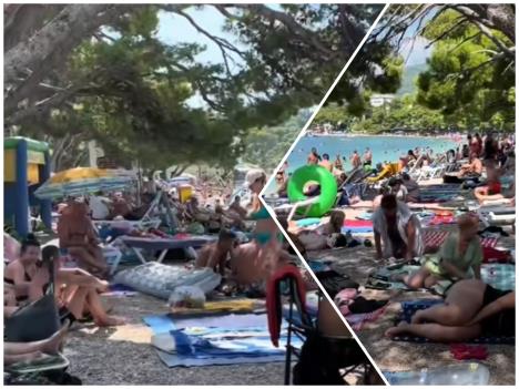 photo-collage.png (2).jpg