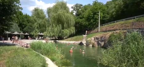 vir Banjica , Rgošte