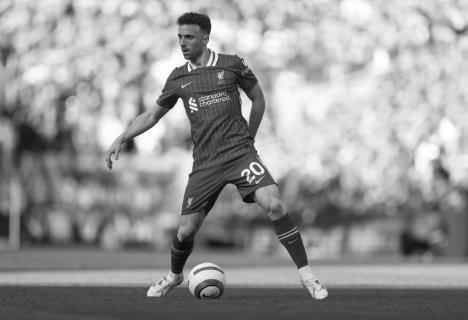 Diogo Žota