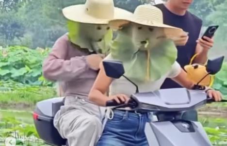 Screenshot 2025-07-03 115413.jpg