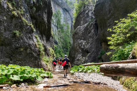 NP Tara - Kanjoning Sklopovi - Ranko Milanovic 2.jpg