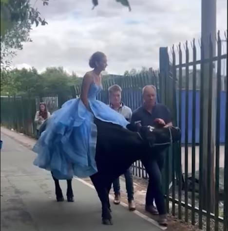 Screenshot 2025-07-04 103301.jpg