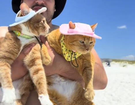 Screenshot 2025-07-04 120815.png