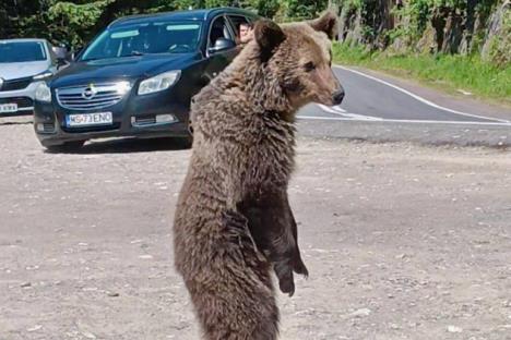 Screenshot 2025-07-05 115414.png