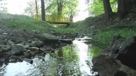 17517264941628931310cacak-slatinska-banja-fotorina1.jpg