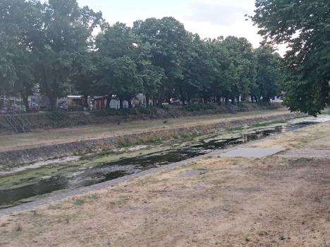 kolubara u centru grada.jpg