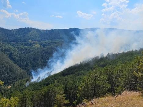 Foto - JP Srbija šume - Požar u kanjonu Bratešine - Krše (2).jpg
