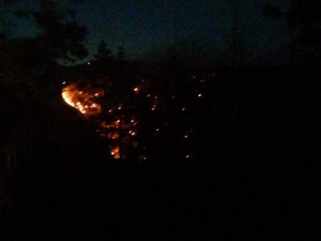 Foto - Privatna arhiva - Požar u kanjonu Bratešine (3).jpg