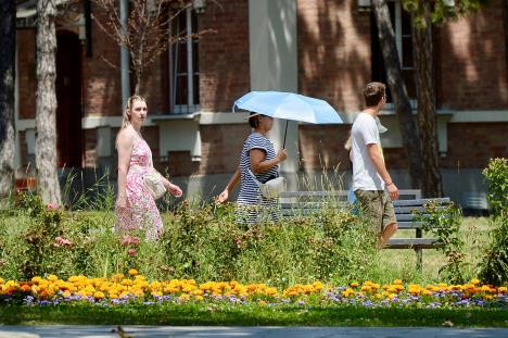 Ljudi šetaju po suncu