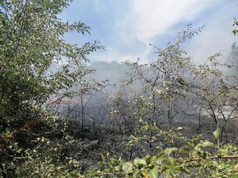 Kiša smanjila požare po Srbiji