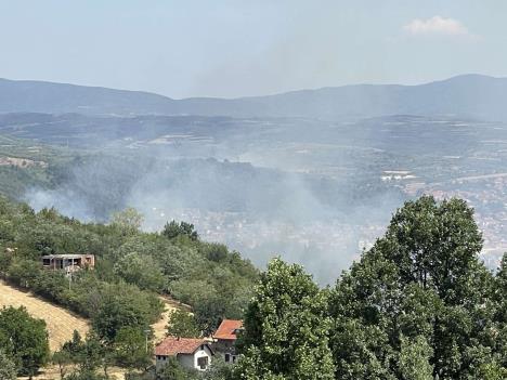 Radoslav gasio požar golim rukama da bi spasio imovinu