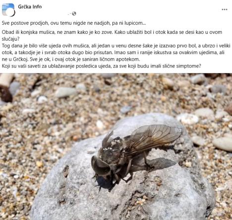 obad.jpg