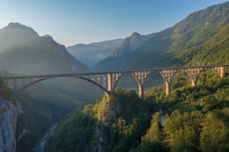 shutterstock_2068496897.jpg