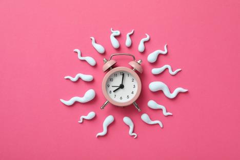 začeće shutterstock_2366341659.jpg