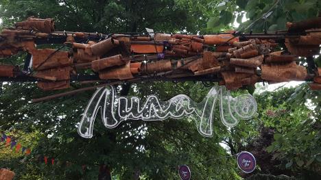 LOZNICA - Počinje festival.jpg