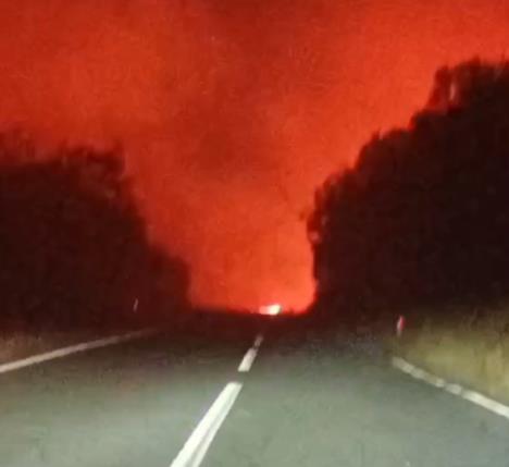 Trebinje požar.jpg