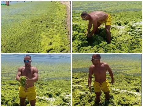 преузимање - 2025-07-11T104559.253.jpg