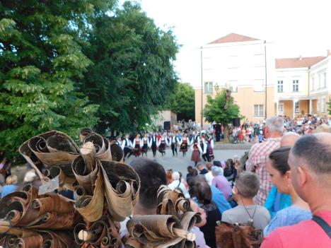 LOZNICA -Folklor pa lilanje.JPG