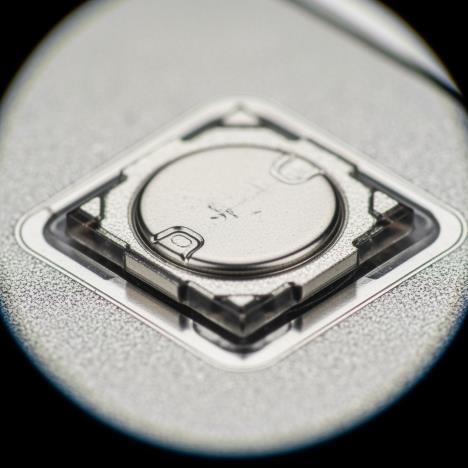 micro battery.jpg