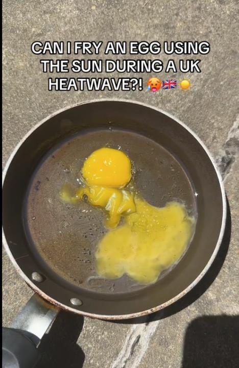 Screenshot 2025-07-17 114150.jpg