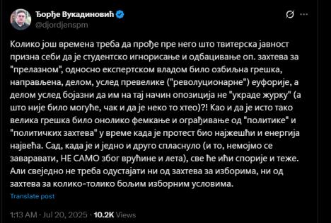 Đorđe Vukadinović X.jpg