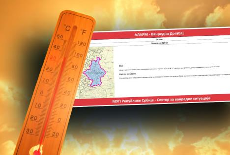 shutterstock_2343779095 copy.jpg