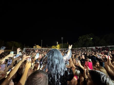 Dragana Mirković.jpeg