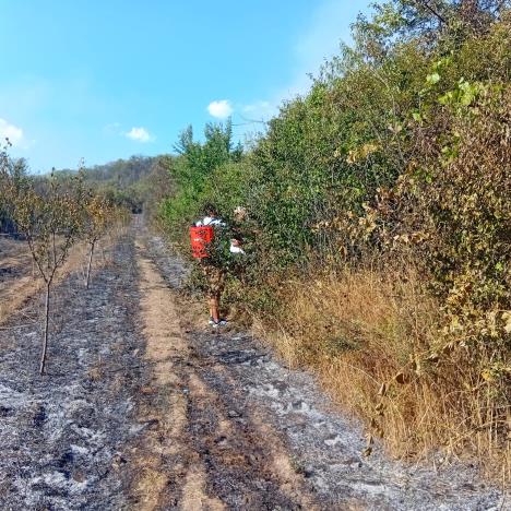 WhatsApp Image 2025-07-21 at 16.26.37_99046f33.jpg