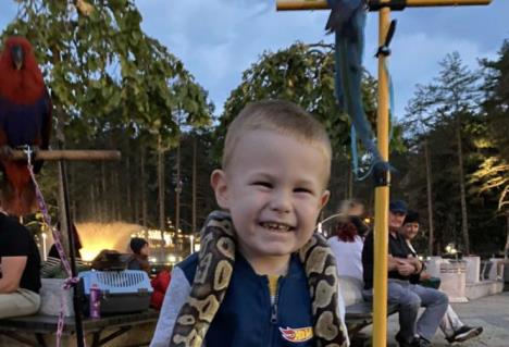 Screenshot 2025-07-22 165409.png