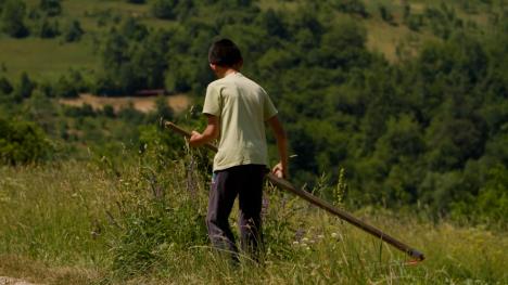 puls clean.00_46_22_24.Still003.jpg