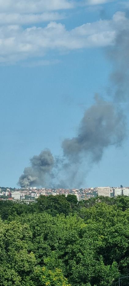 WhatsApp Image 2025-07-23 at 4.31.08 PM (1).jpeg