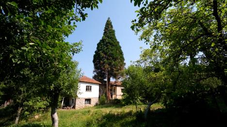 puls clean.01_24_42_17.Still011.jpg