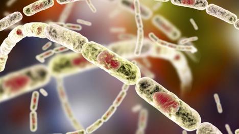 puls clean.01_16_28_09.Still002.jpg