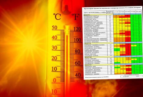 shutterstock-2179828235 copy.jpg