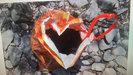 Muškarac ubio šest štenaca u Mionici