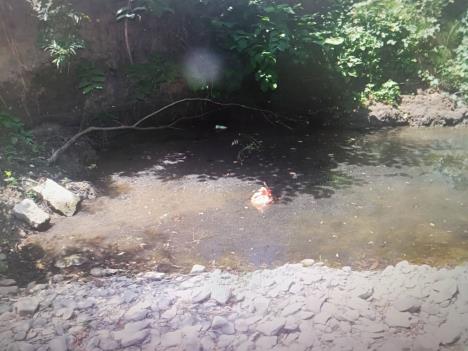 Štence udavio u reci u Mionici