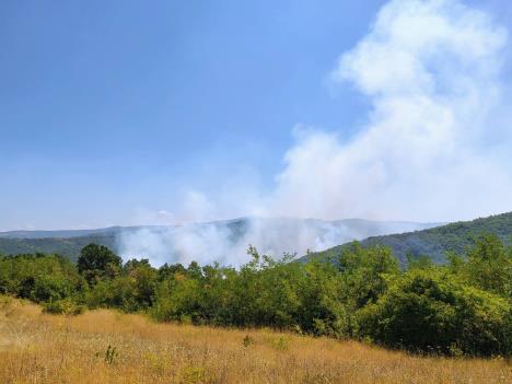 WhatsApp Image 2025-07-25 at 8.53.34 PM.jpeg