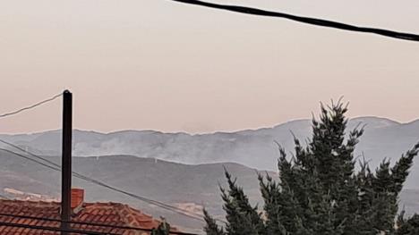 WhatsApp Image 2025-07-25 at 8.55.33 PM.jpeg