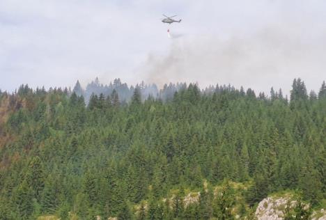 WhatsApp Image 2025-07-26 at 10.53.13_81fb795b.jpg