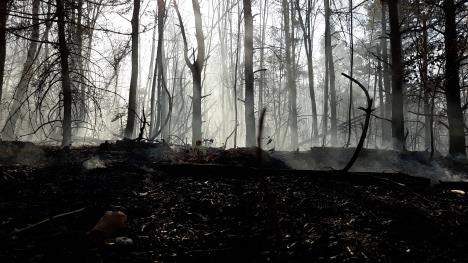 LOZNICA - Izgorelo.jpg