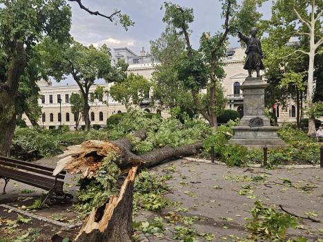 WhatsApp Image 2025-07-26 at 19.31.00_b5d7adac.jpg