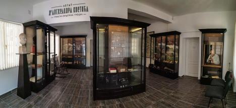 1. Легат др Александра Костића, панорамска фото.jpg