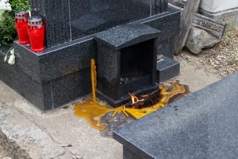 WhatsApp Image 2025-07-28 at 12.40.39 (1).jpeg