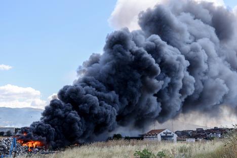 1 EPA Georgi Licovski.jpg