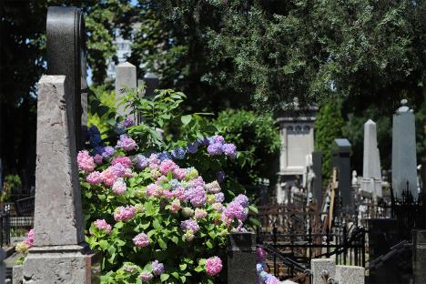 JKP “Pogrebne uslige” Beograd.jpg