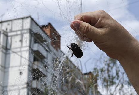 107 EPA Press Service Of The Th Mechan.jpg