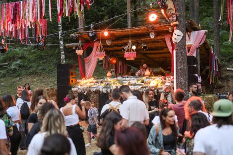 MMF foto  Dobrica Mitrović.jpg