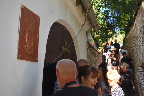 Strpljivo čekaju foto s.u..JPG