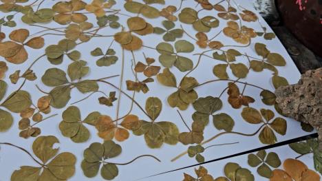 puls clean.01_24_14_03.Still004.jpg